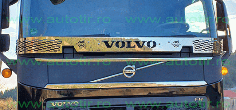 Plasa Insecte Volvo FH4